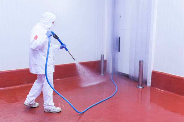 Best Concrete Sealing  in Lake Ozark, MO